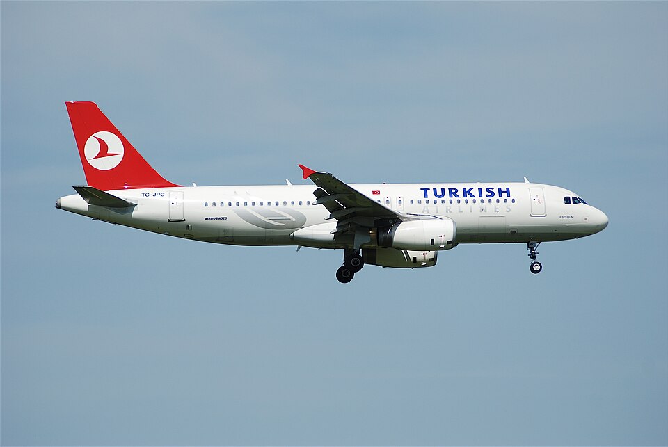 Türk Hava Yolları, 8 Uçağı Yere İndirdi