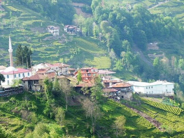 Rize İl Kültür ve Turizm Müdürlüğüne Alper Avluk Atandı